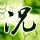 定制新版国立联合大学文凭【degxx.com】